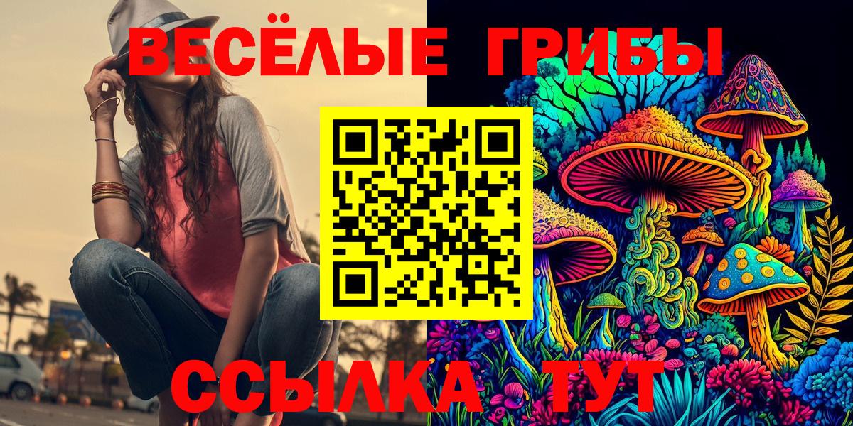 Галлюциногенные грибы Psilocybine cubensis Прокопьевск