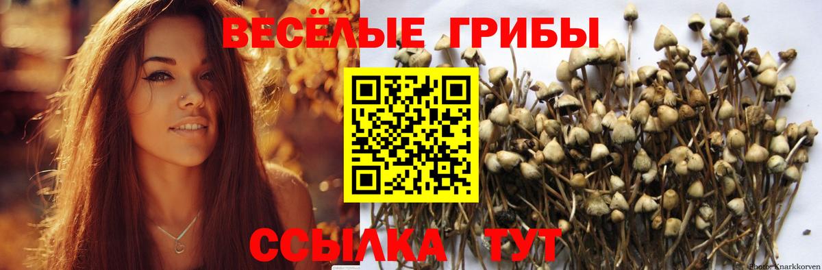 Галлюциногенные грибы Magic Shrooms  Вход с VPN  Прокопьевск 
